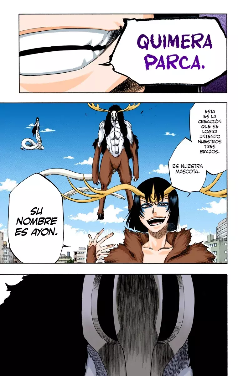 Bleach (Color) capítulo 336, página 4