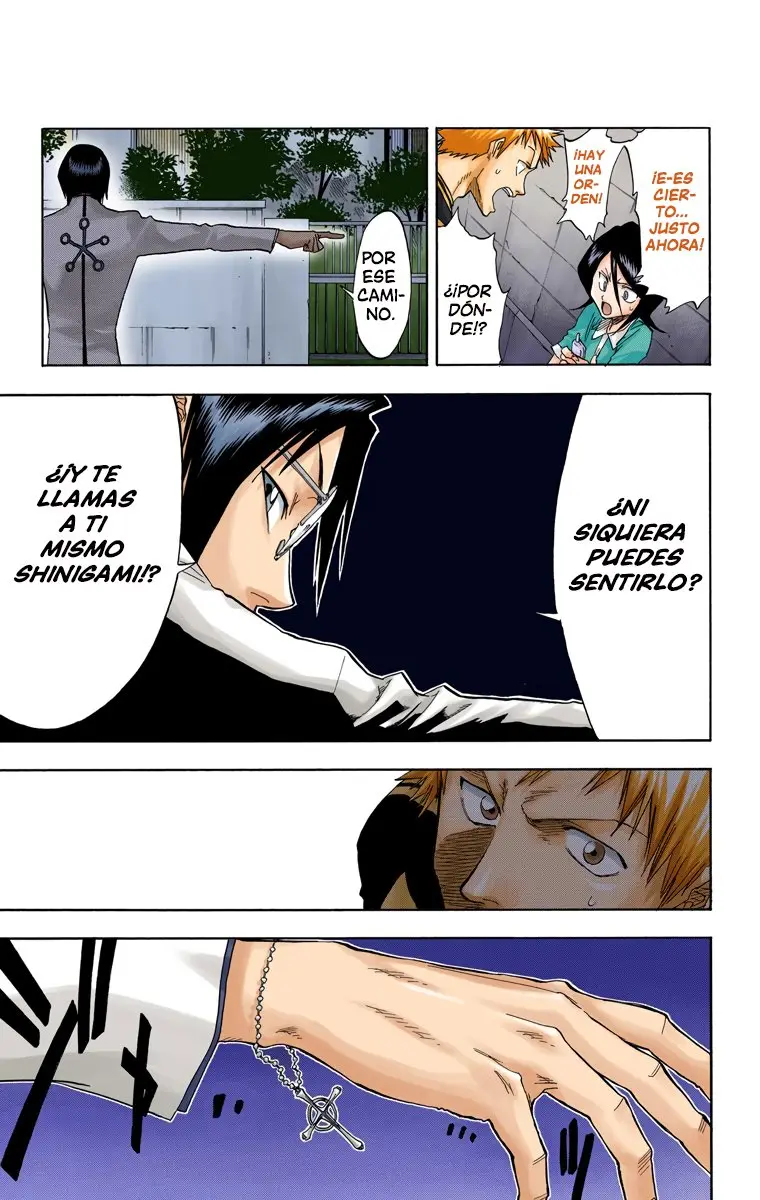Bleach (Color) capítulo 34, página 18