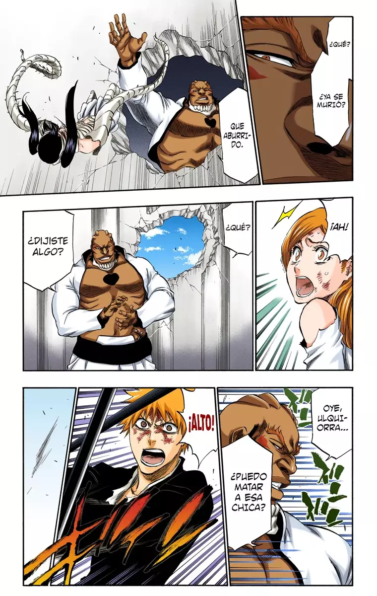 Bleach (Color) capítulo 343, página 14