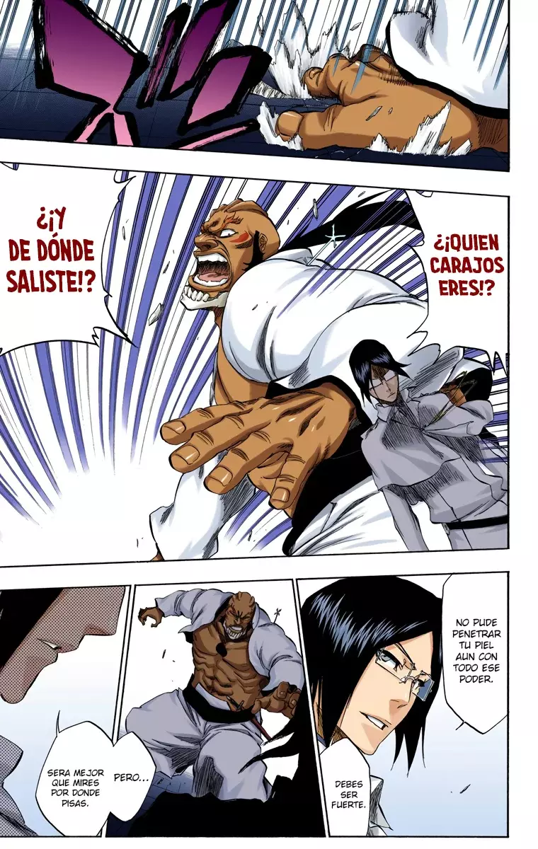 Bleach (Color) capítulo 343, página 17