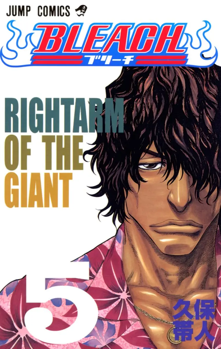 Bleach (Color) capítulo 35, página 2