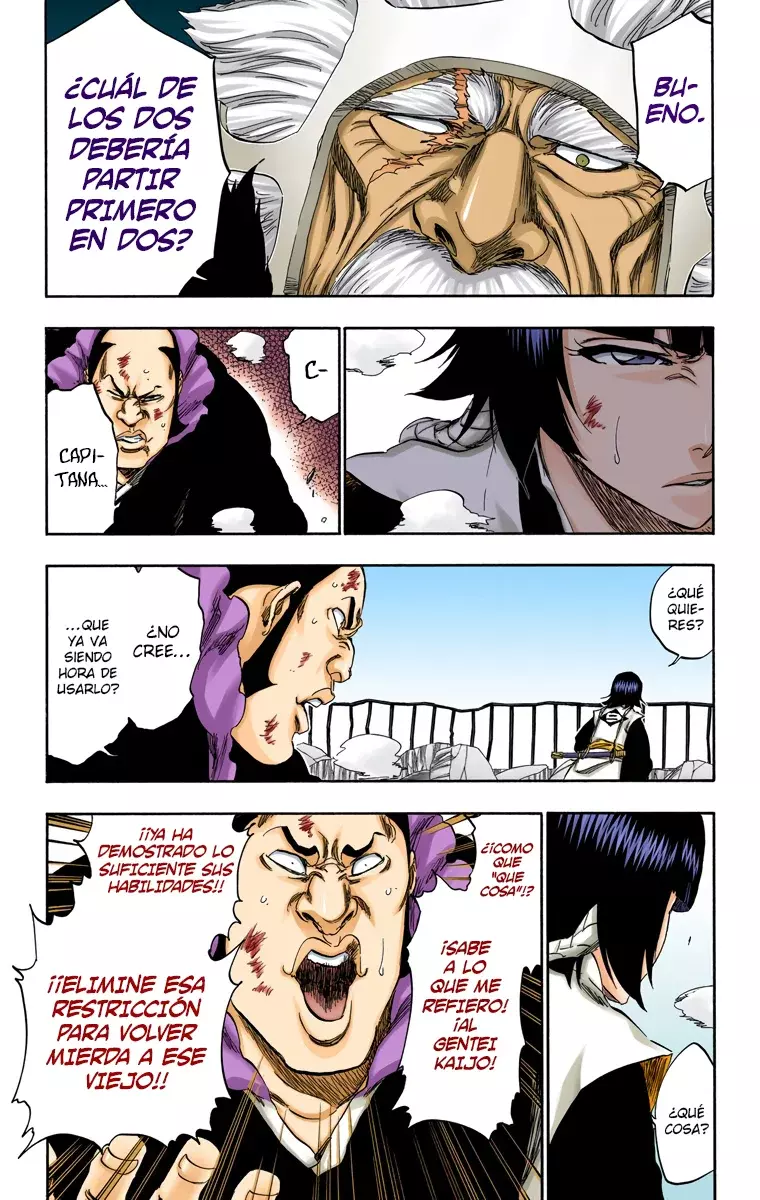 Bleach (Color) capítulo 355, página 10