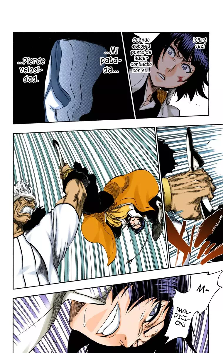 Bleach (Color) capítulo 356, página 13