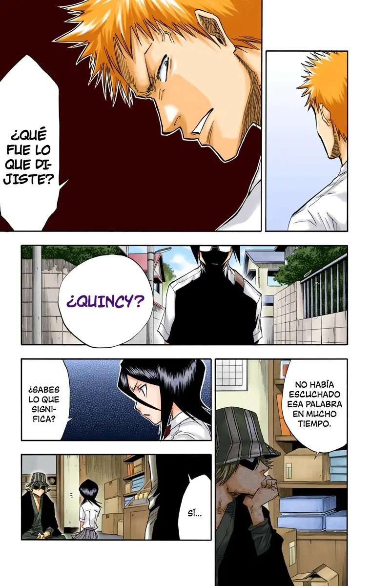 Bleach (Color) capítulo 36, página 12