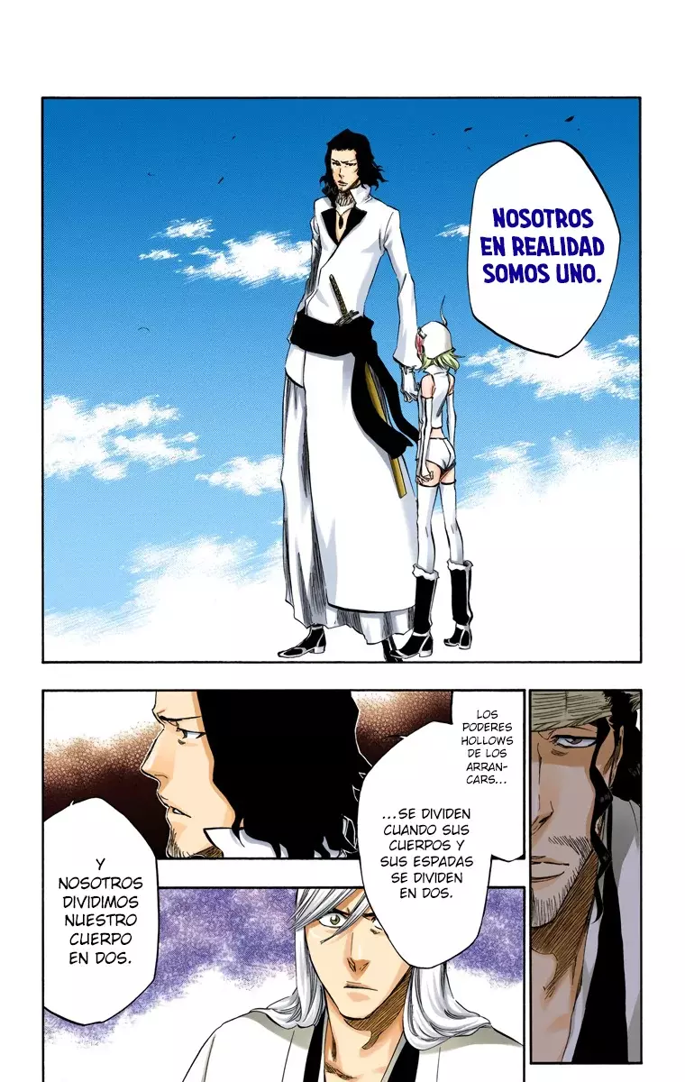 Bleach (Color) capítulo 361, página 15