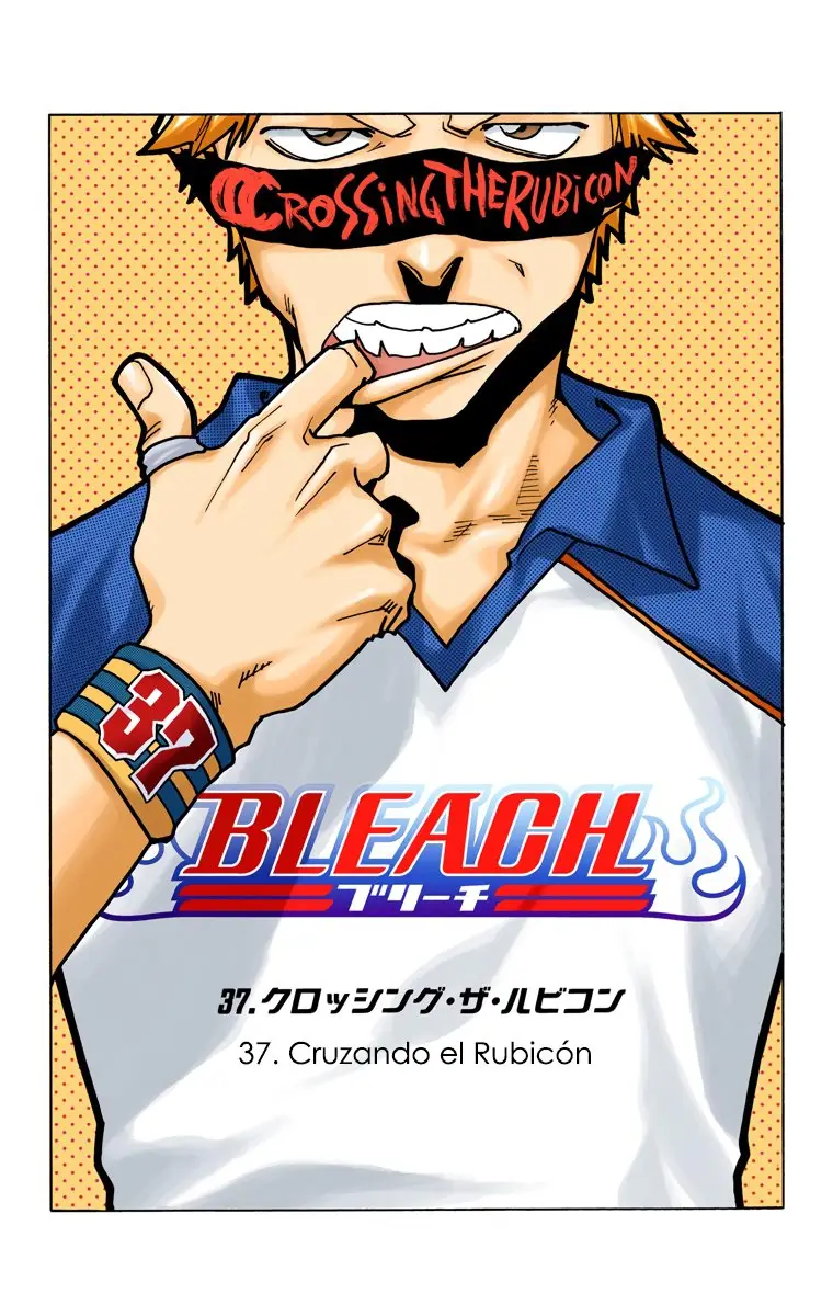 Bleach (Color) capítulo 37, página 9