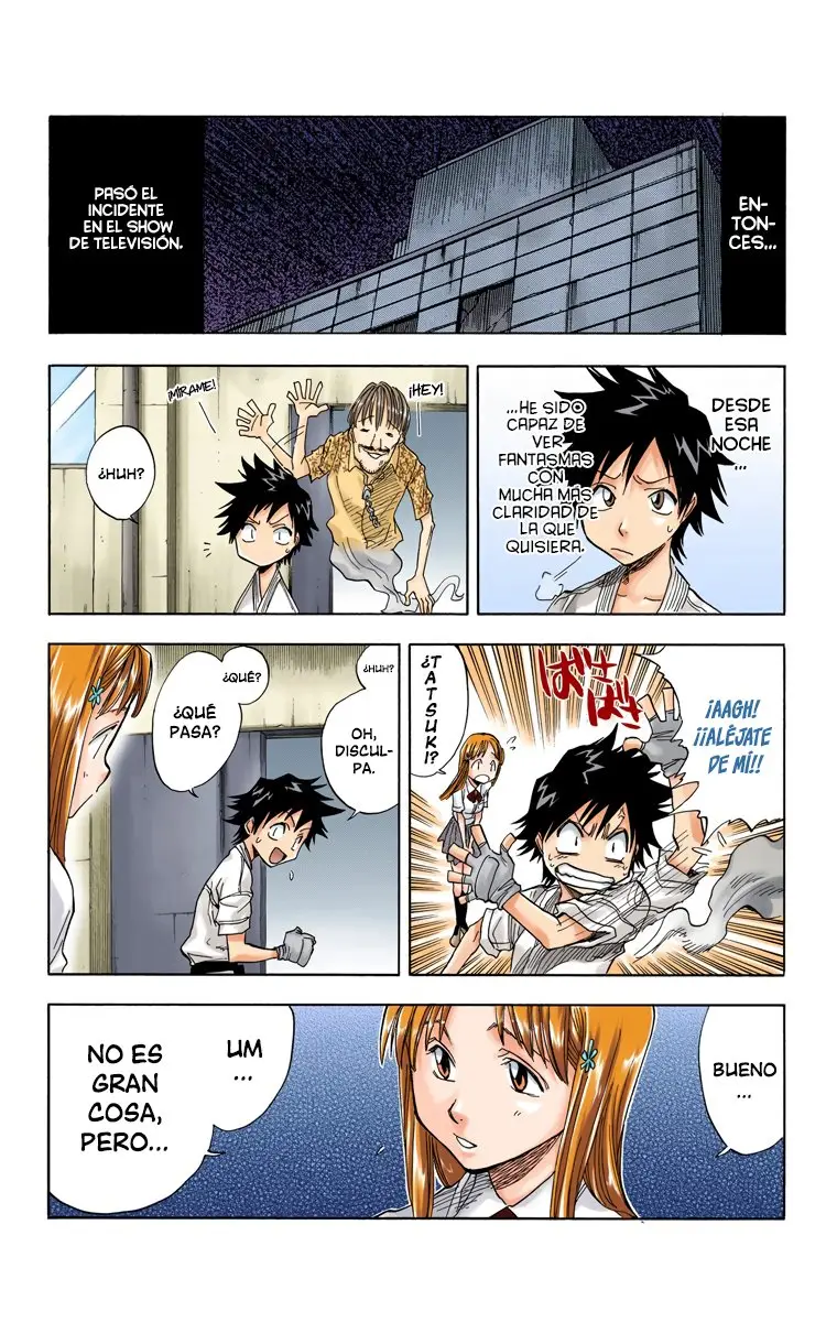 Bleach (Color) capítulo 37, página 13