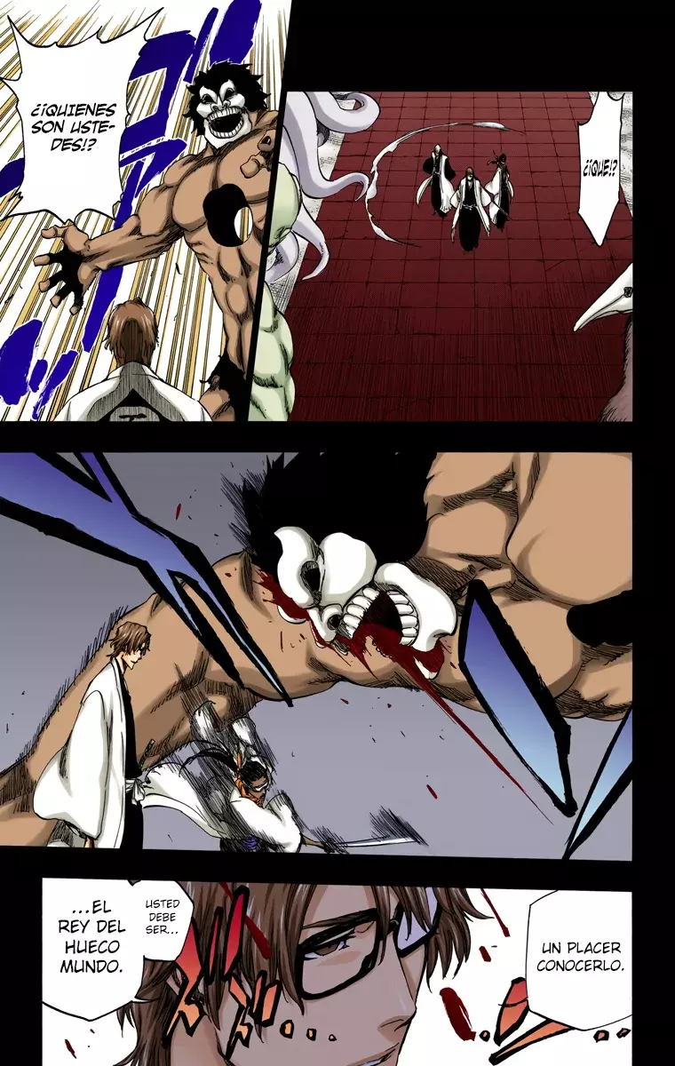 Bleach (Color) capítulo 371, página 6