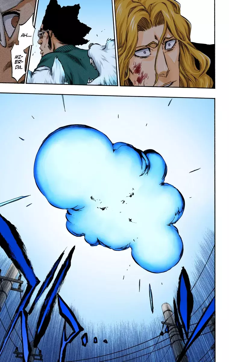 Bleach (Color) capítulo 373, página 14