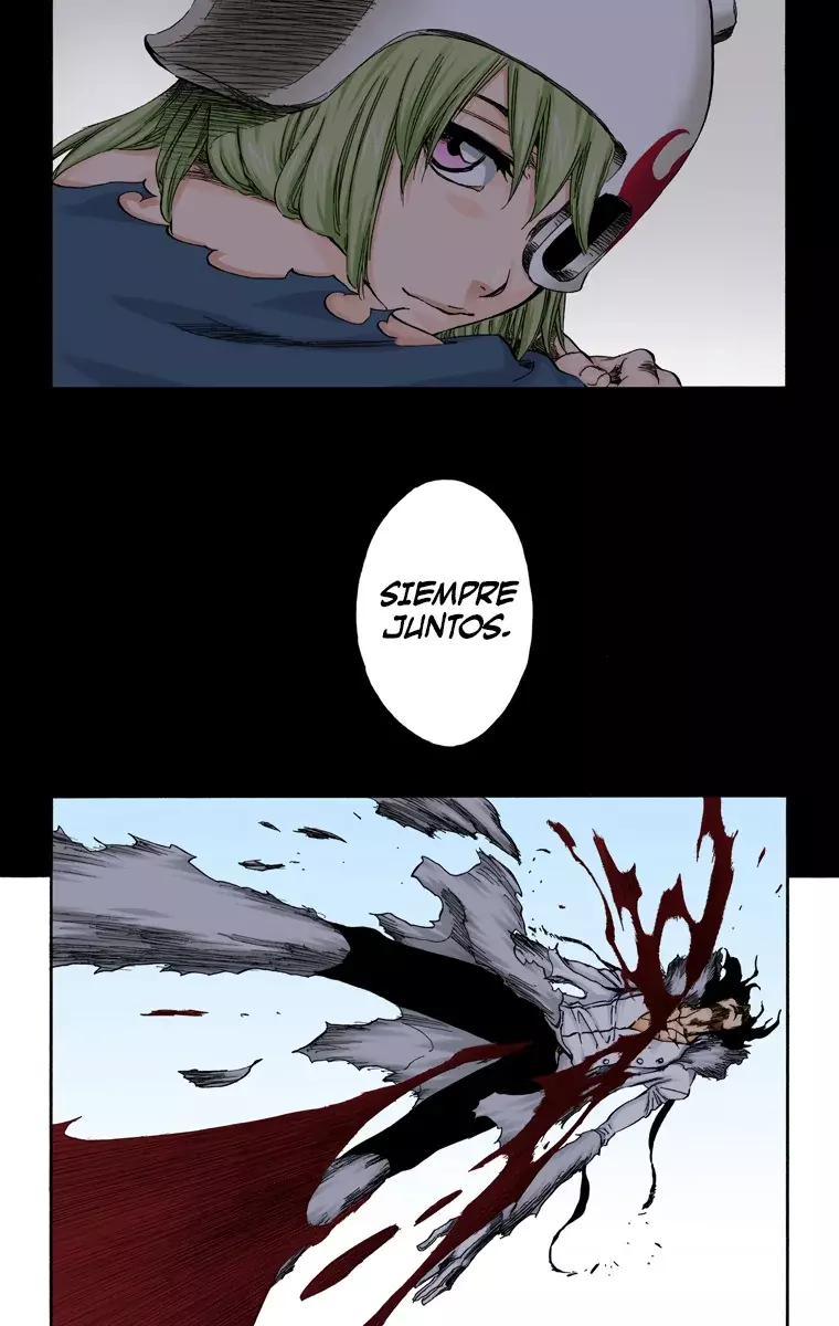 Bleach (Color) capítulo 375, página 9