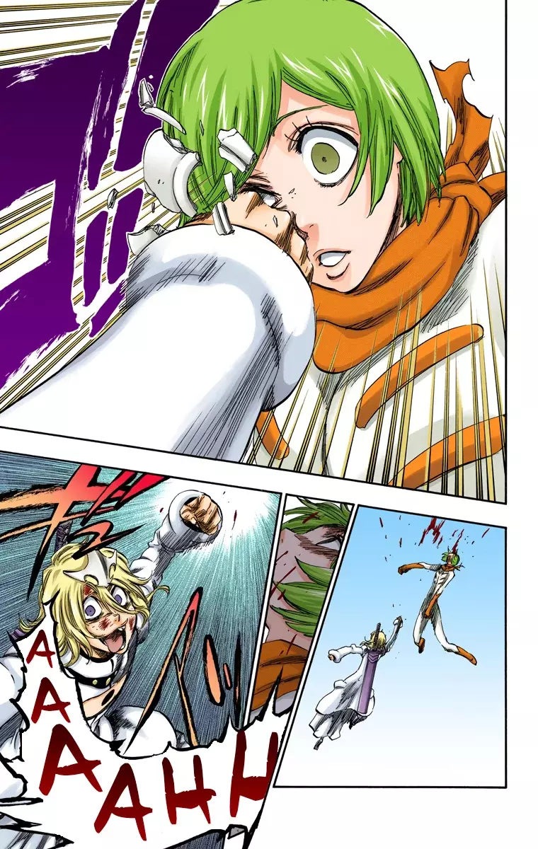Bleach (Color) capítulo 376, página 17