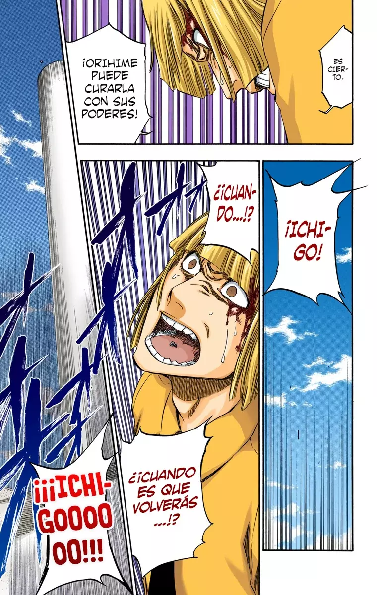 Bleach (Color) capítulo 377, página 17