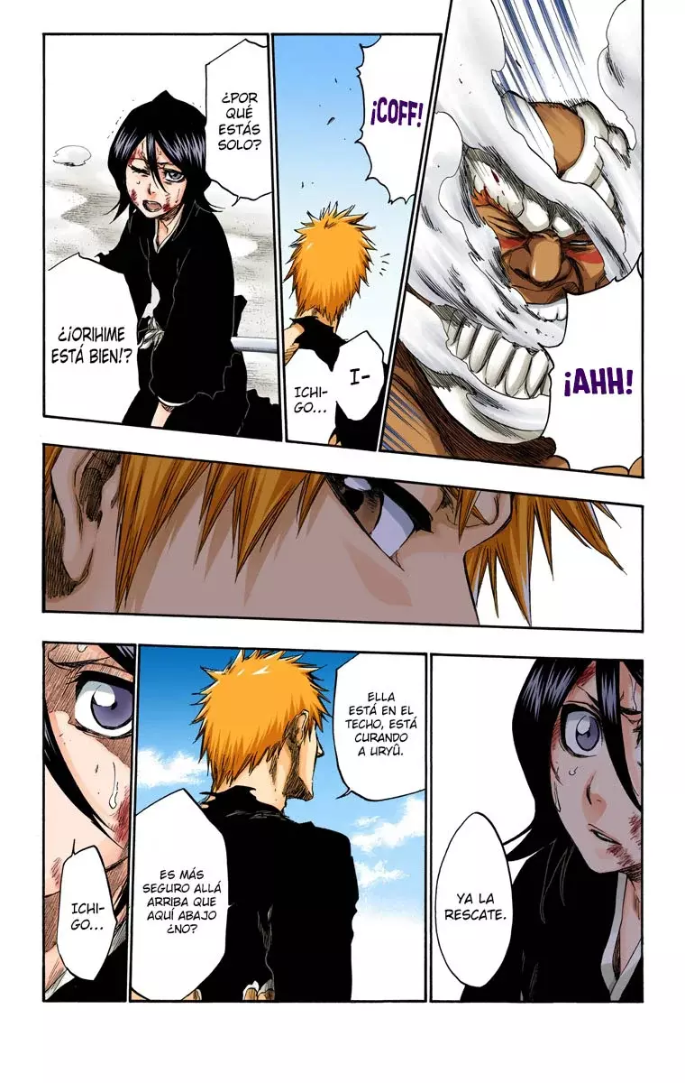 Bleach (Color) capítulo 378, página 17