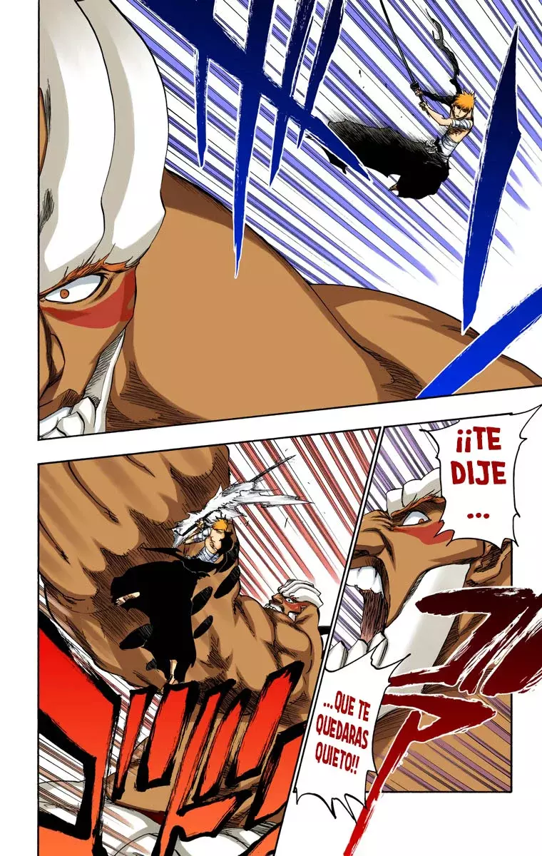 Bleach (Color) capítulo 378, página 22