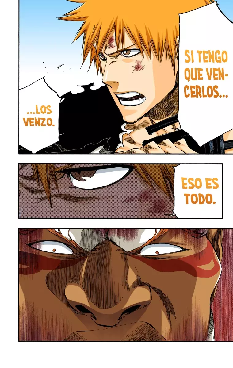 Bleach (Color) capítulo 379, página 14