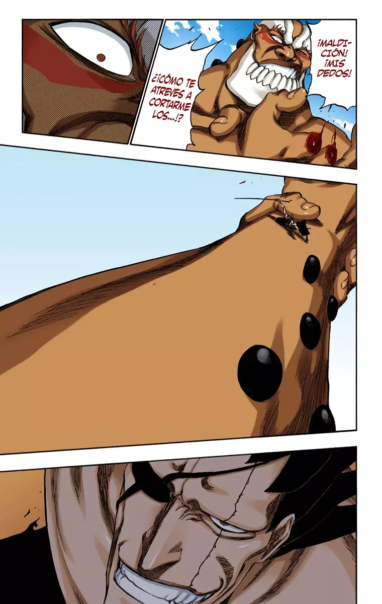 Bleach (Color) capítulo 381, página 12