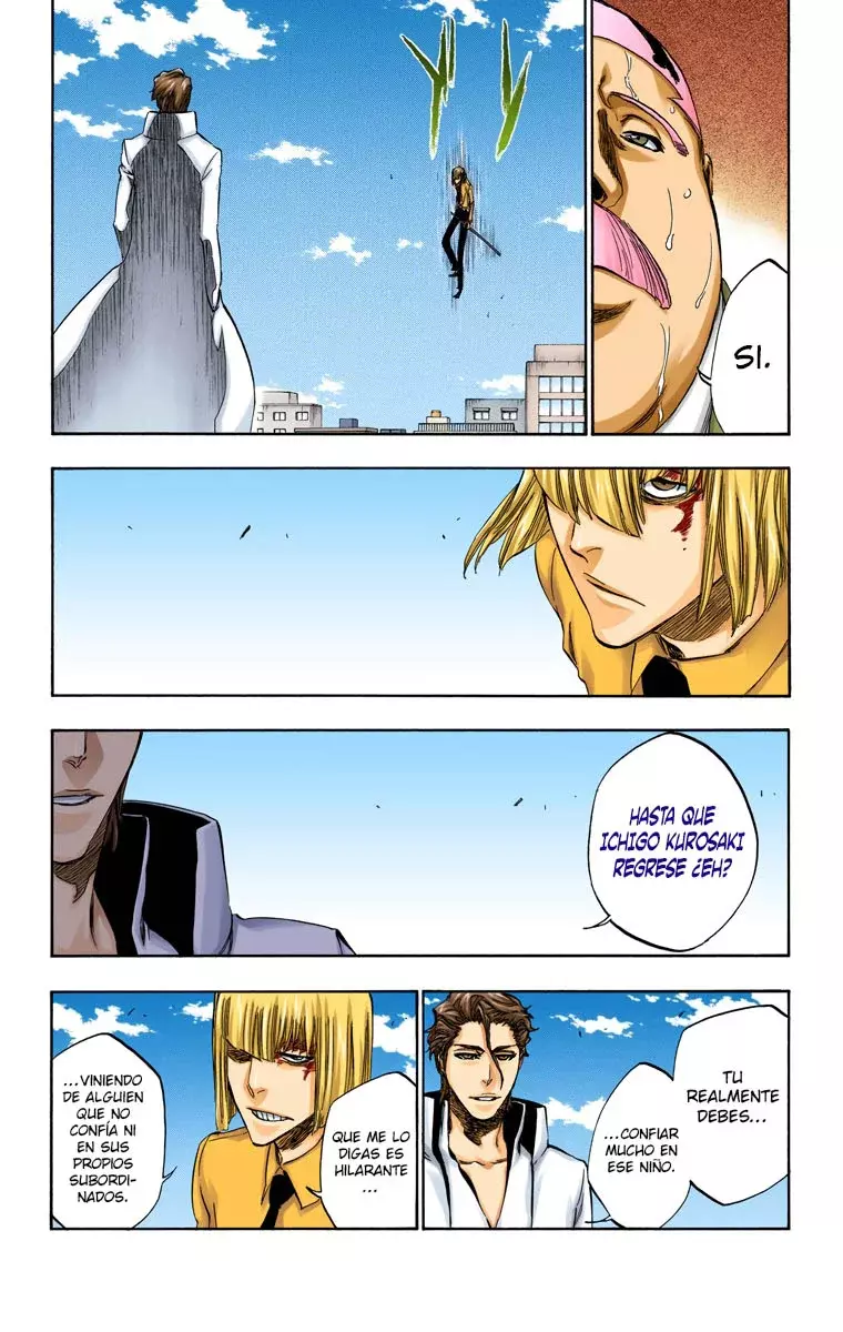 Bleach (Color) capítulo 383, página 14