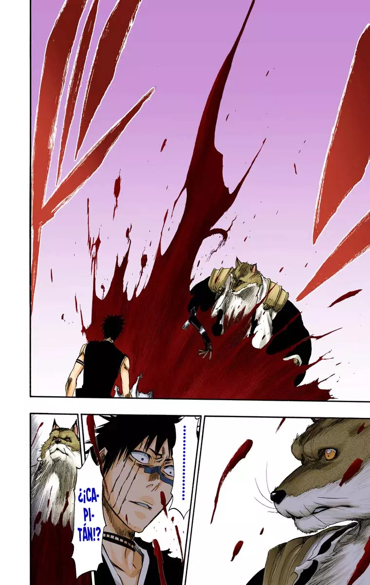 Bleach (Color) capítulo 387, página 24