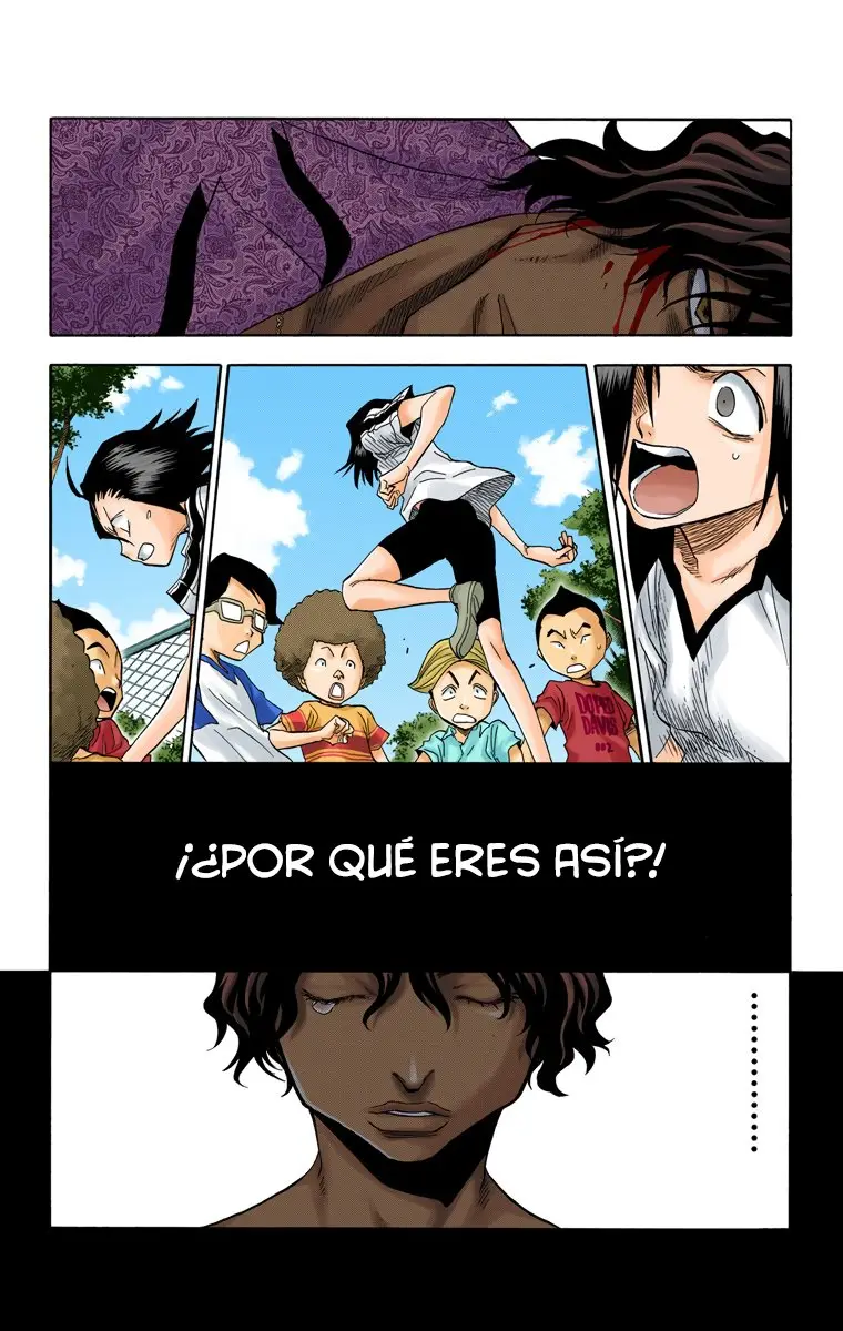Bleach (Color) capítulo 39, página 13