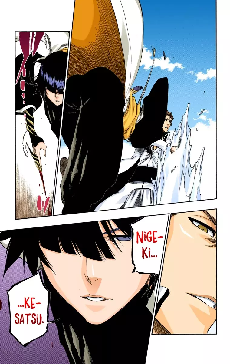 Bleach (Color) capítulo 391, página 14