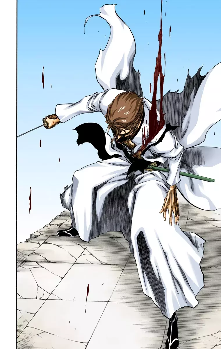 Bleach (Color) capítulo 396, página 14
