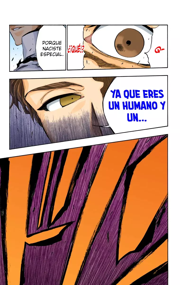 Bleach (Color) capítulo 397, página 17
