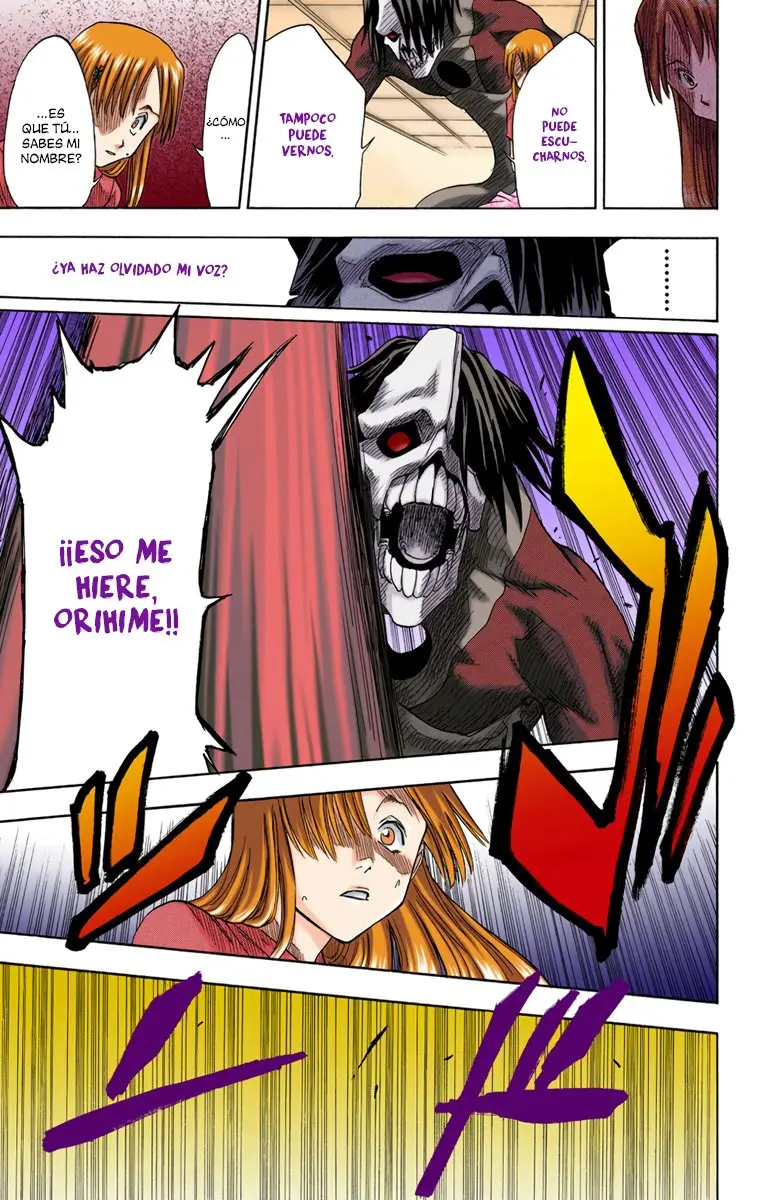 Bleach (Color) capítulo 4, página 17