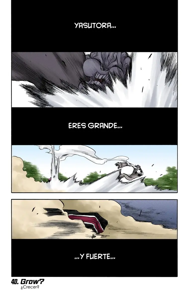 Bleach (Color) capítulo 40, página 2