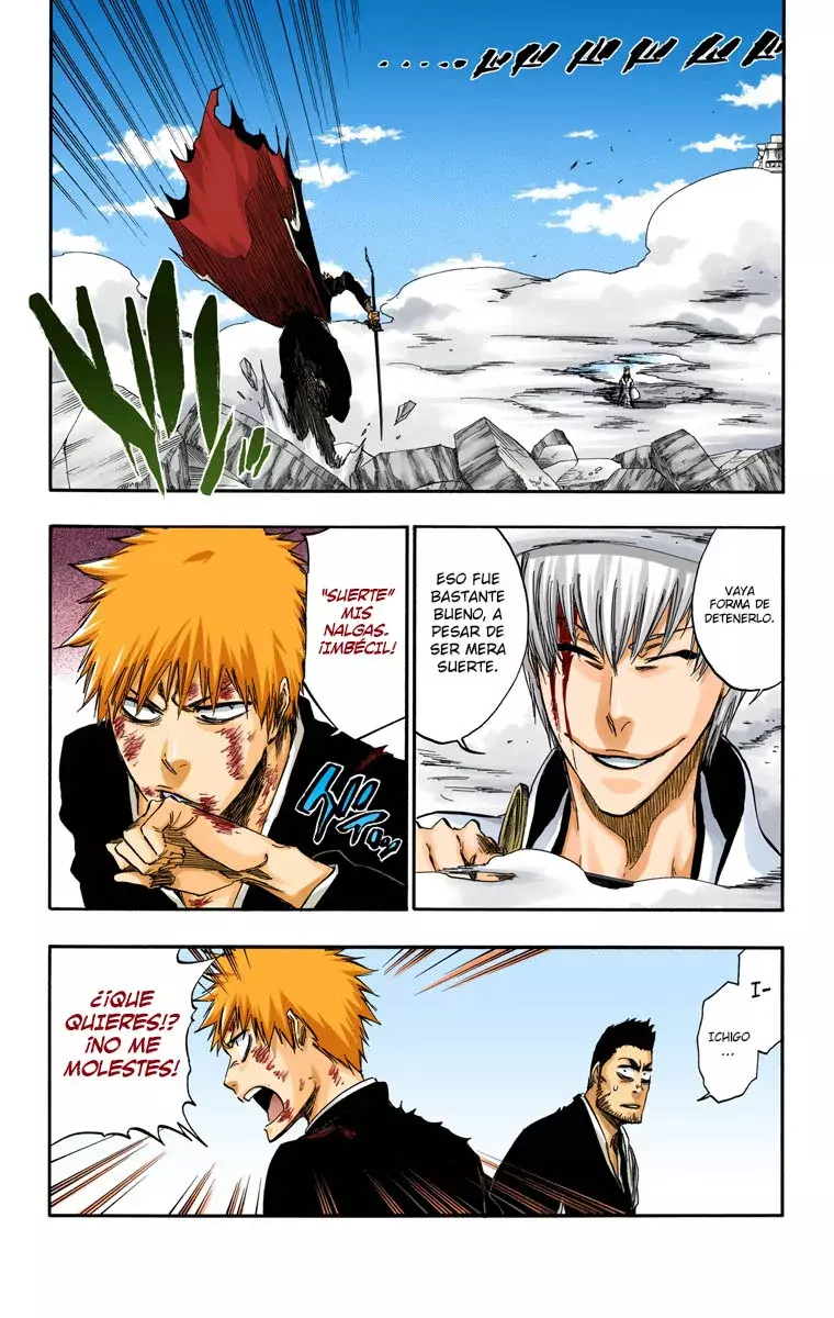 Bleach (Color) capítulo 401, página 14
