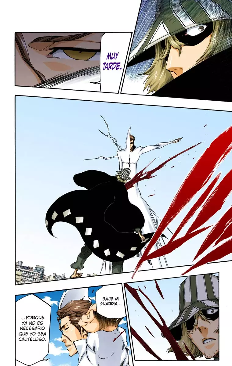 Bleach (Color) capítulo 402, página 18