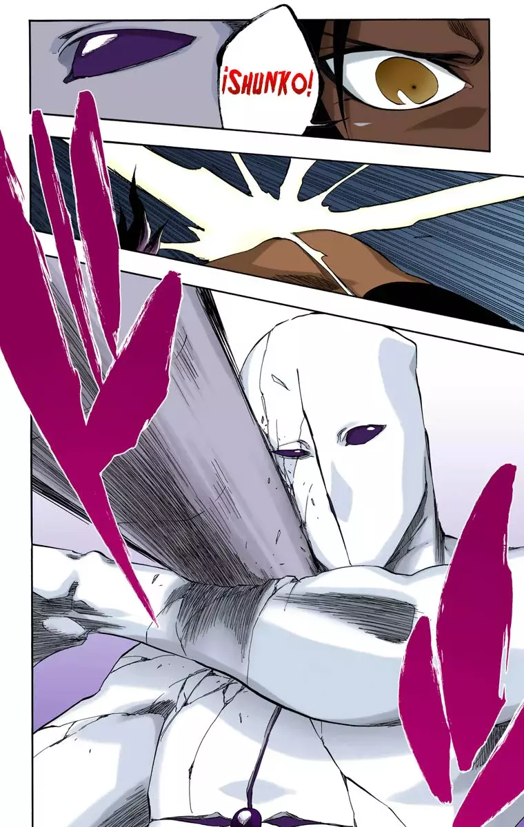 Bleach (Color) capítulo 405, página 17