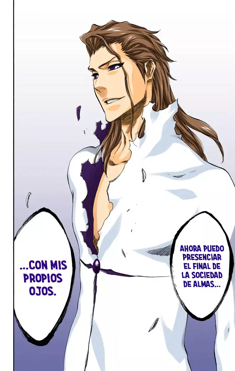 Bleach (Color) capítulo 406, página 17