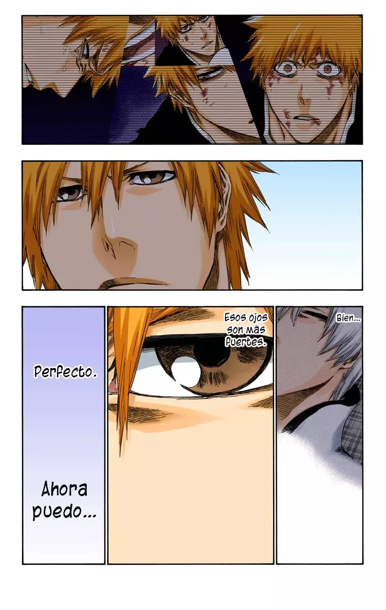Bleach (Color) capítulo 417, página 13