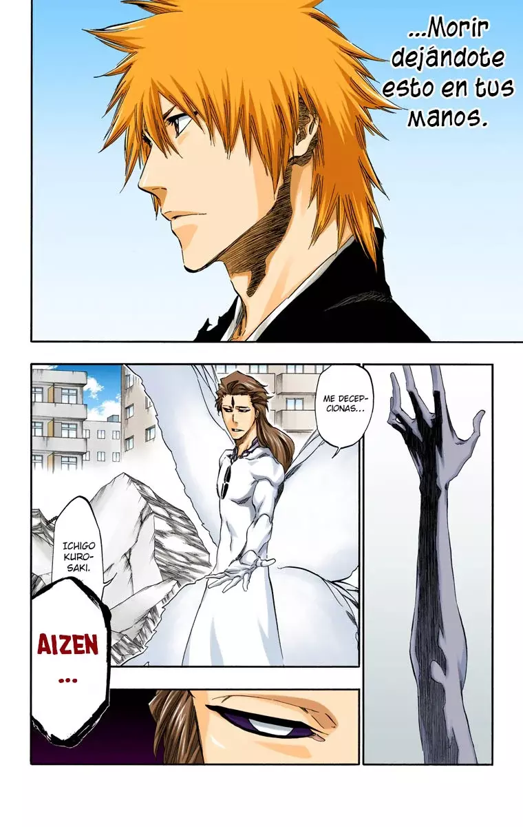 Bleach (Color) capítulo 417, página 14