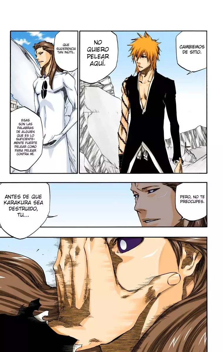 Bleach (Color) capítulo 417, página 15