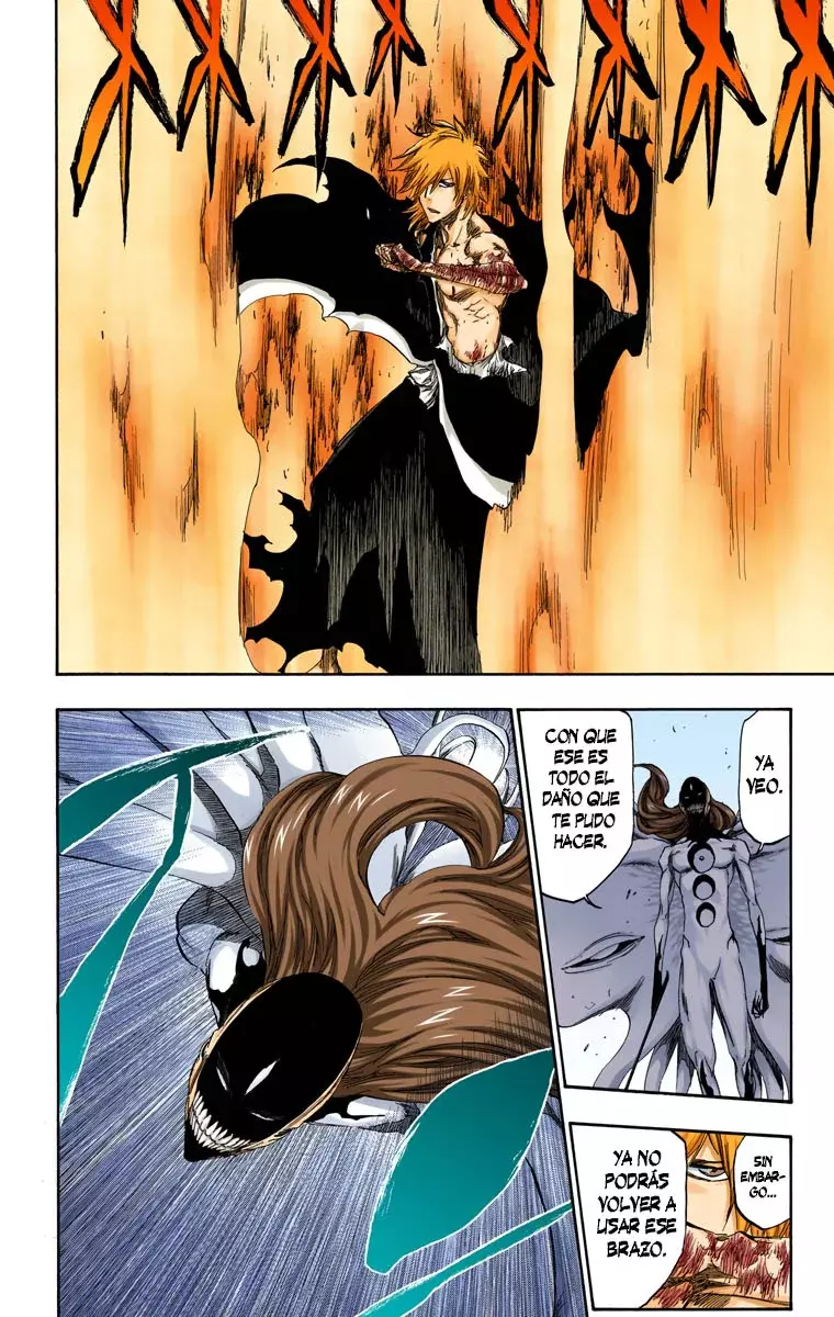 Bleach (Color) capítulo 419, página 14