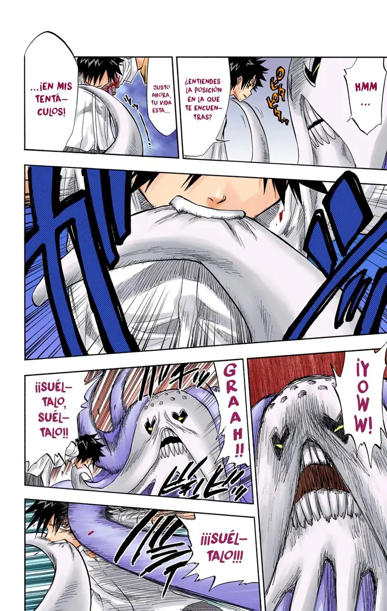 Bleach (Color) capítulo 42, página 11