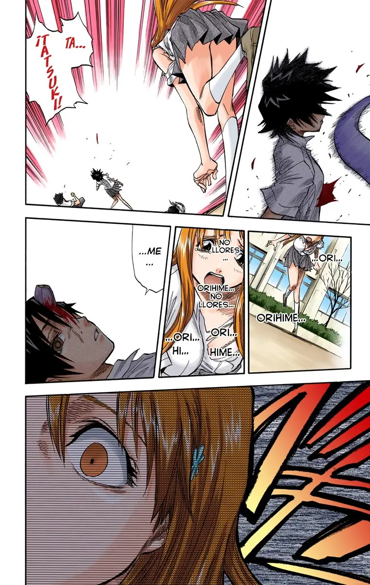 Bleach (Color) capítulo 42, página 13