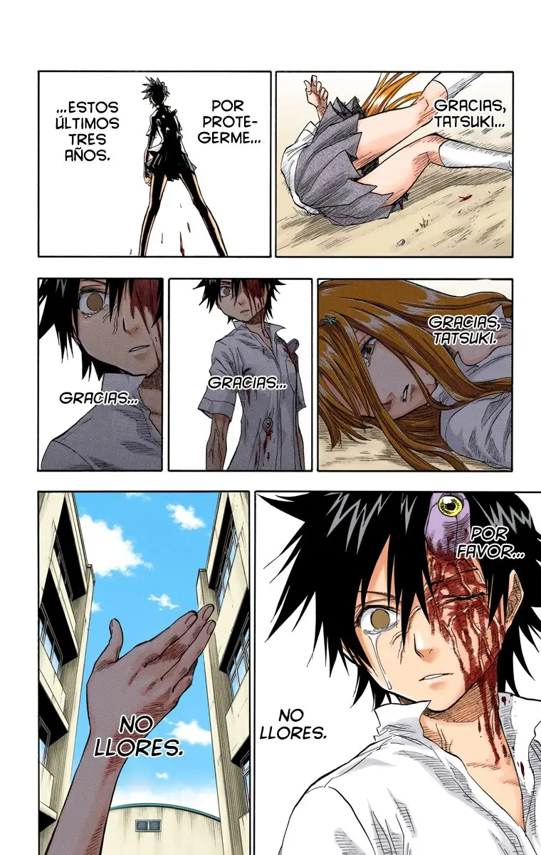 Bleach (Color) capítulo 42, página 17