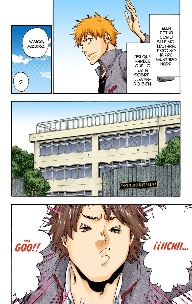 Bleach (Color) capítulo 424, página 13
