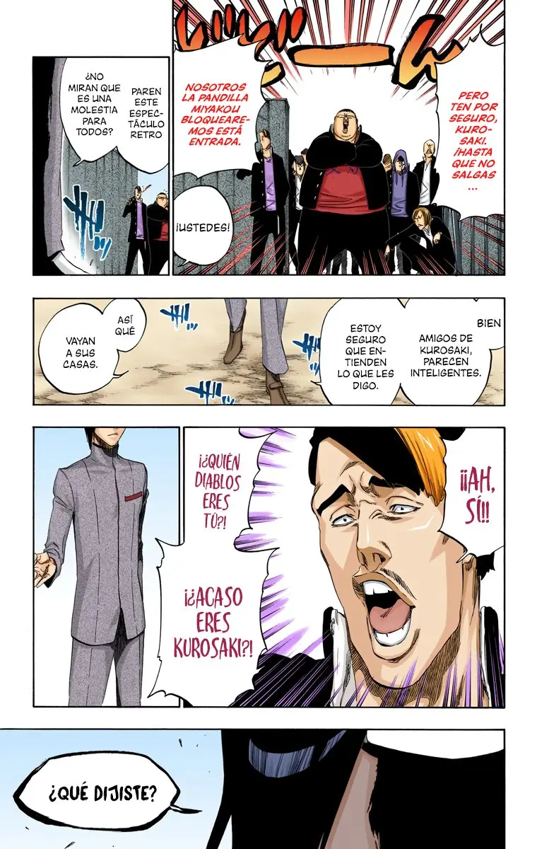 Bleach (Color) capítulo 425, página 17