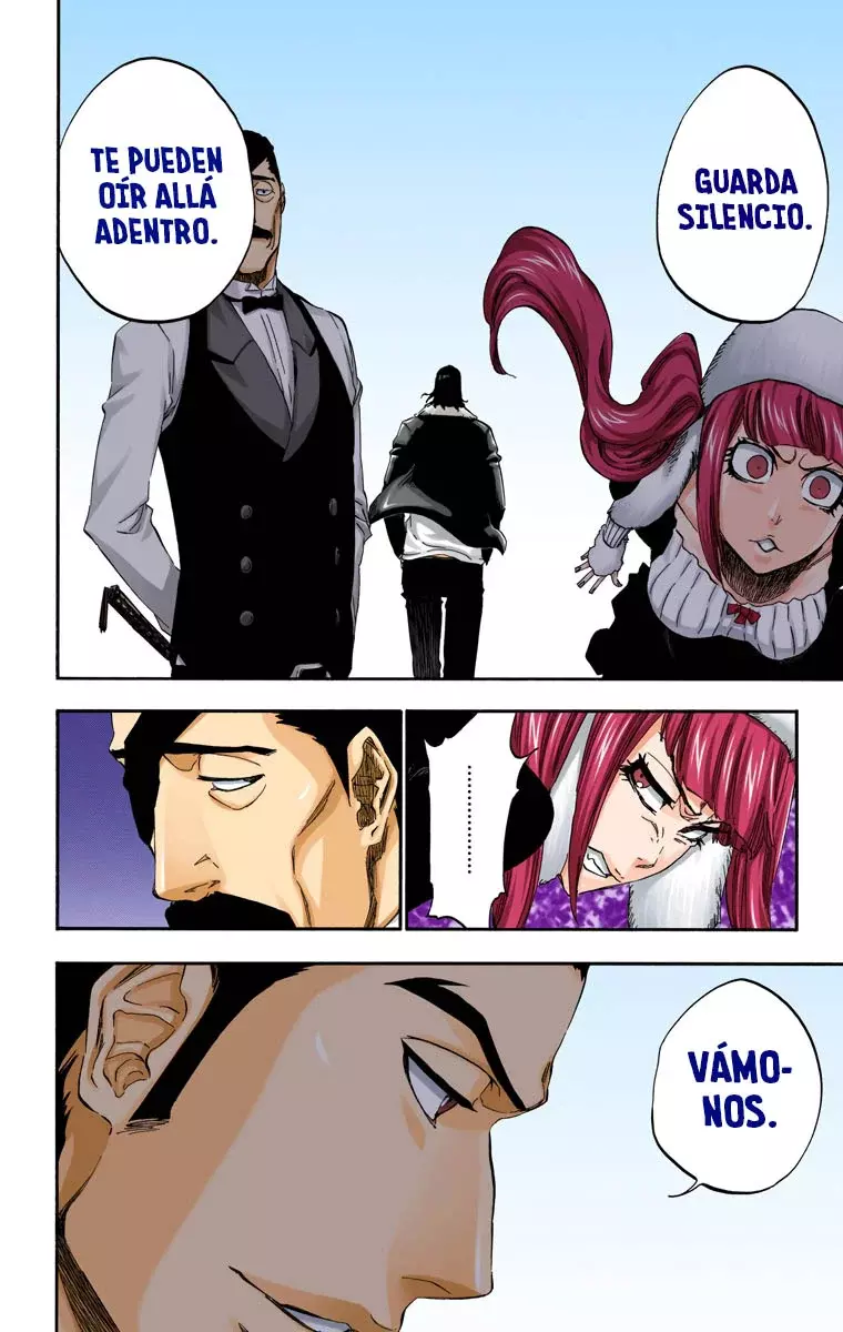 Bleach (Color) capítulo 428, página 11