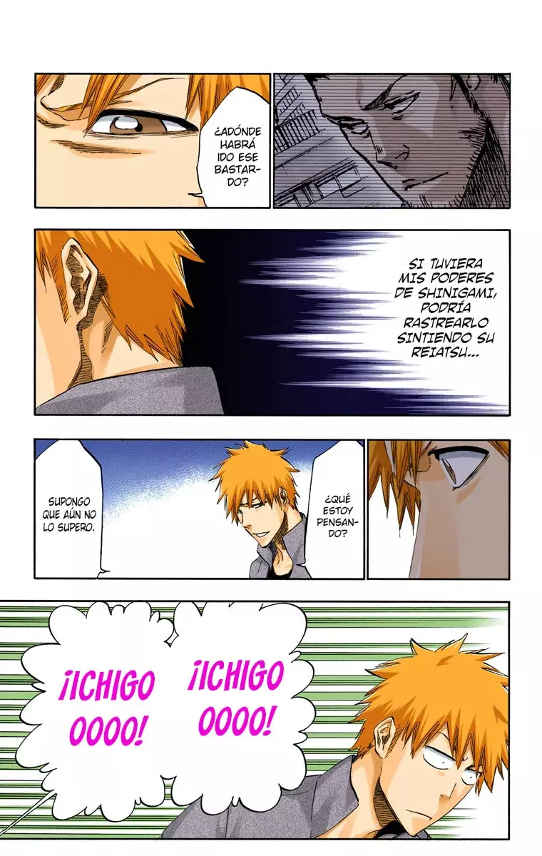 Bleach (Color) capítulo 429, página 10