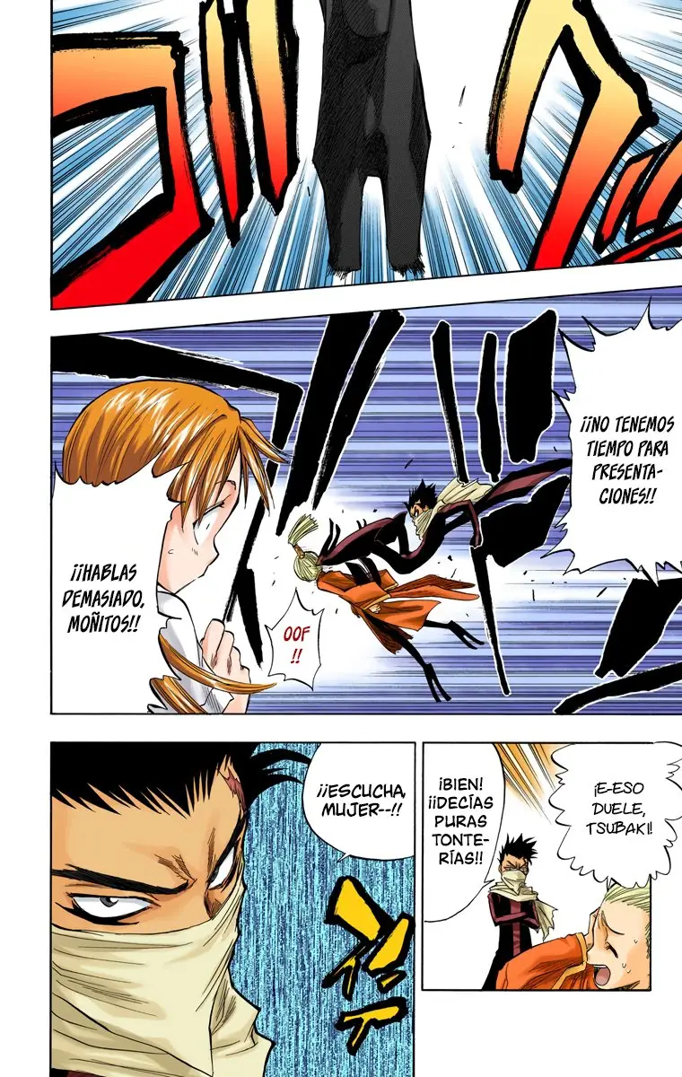 Bleach (Color) capítulo 43, página 9