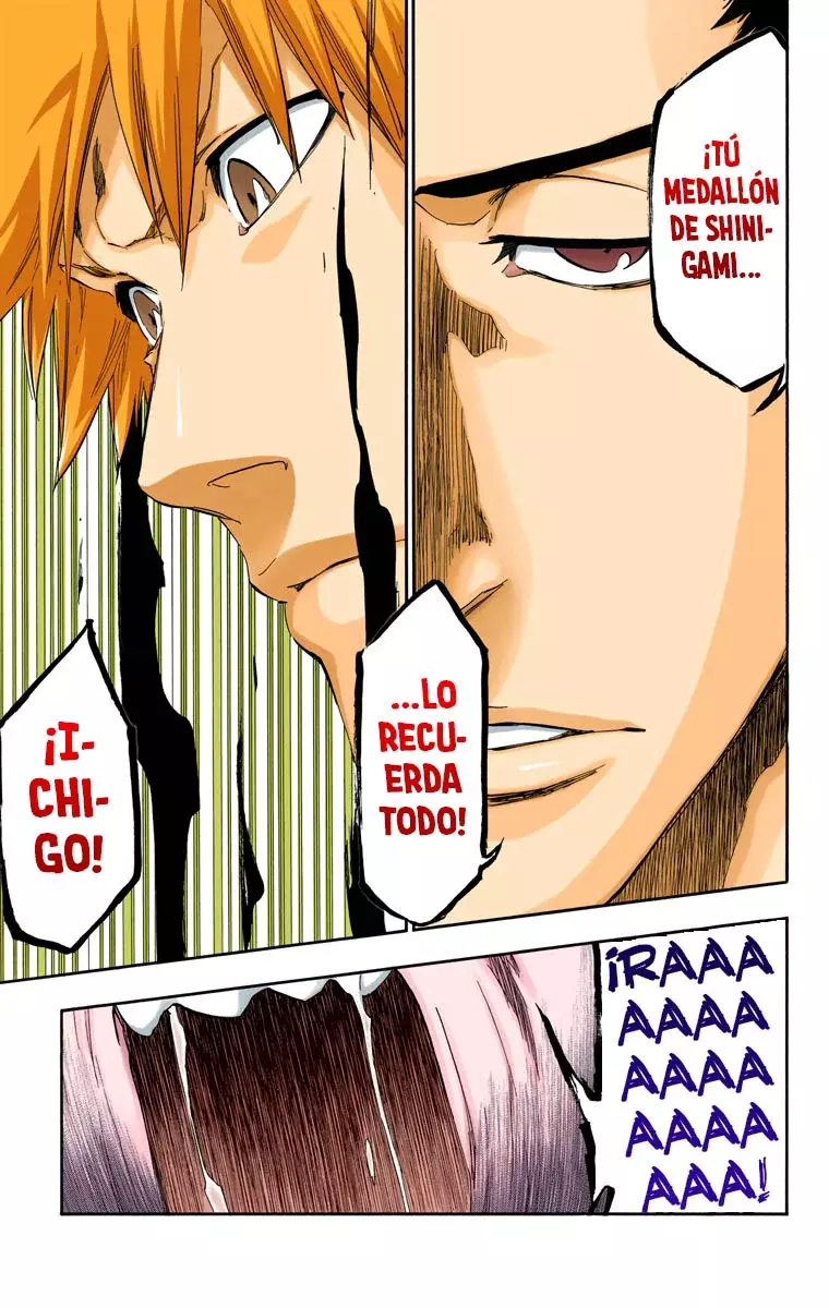 Bleach (Color) capítulo 437, página 6