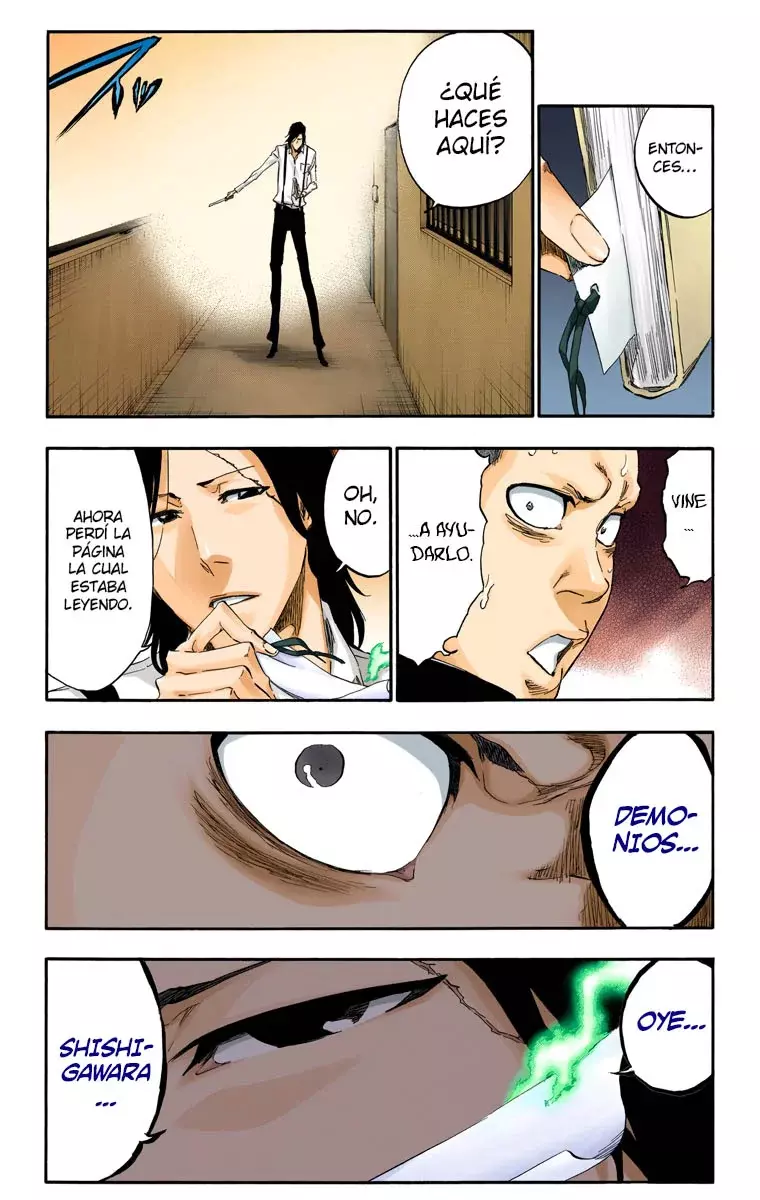 Bleach (Color) capítulo 439, página 14