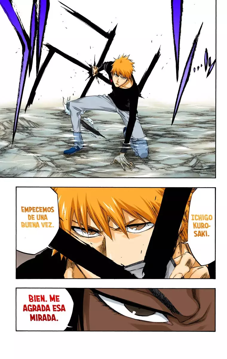 Bleach (Color) capítulo 441, página 20