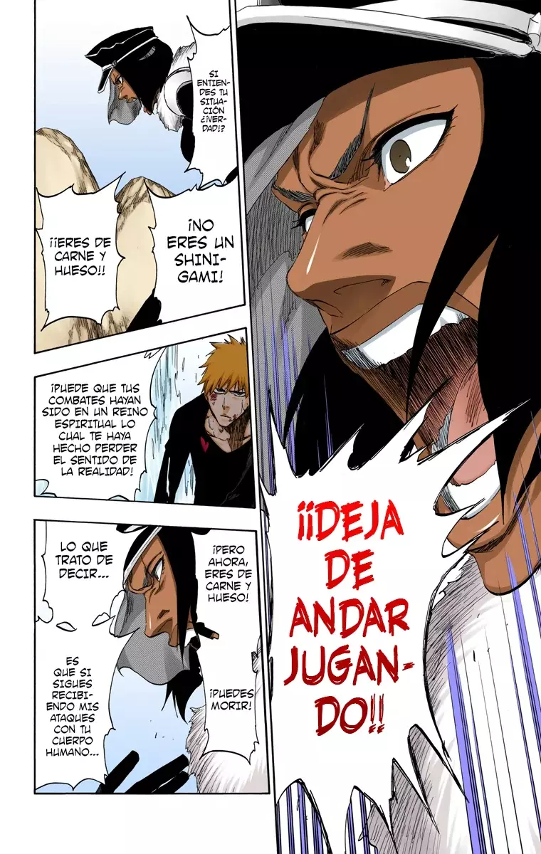 Bleach (Color) capítulo 443, página 13