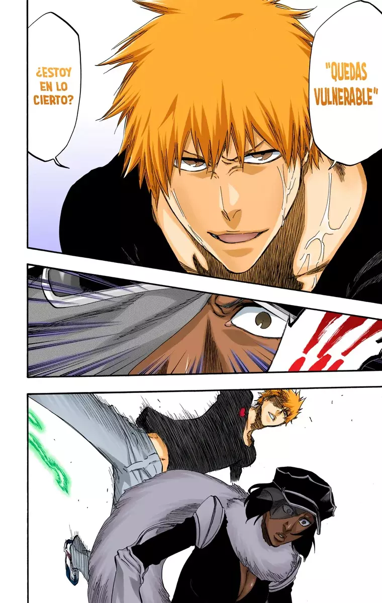 Bleach (Color) capítulo 443, página 17