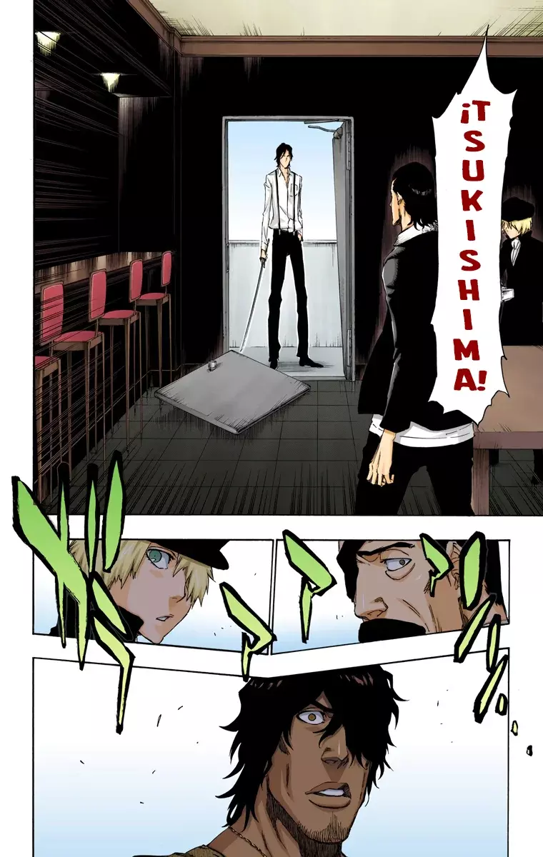Bleach (Color) capítulo 444, página 15